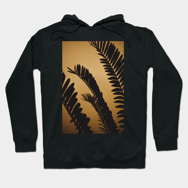 Golden Shaded Palm Leaves Hoodie by beyondreason